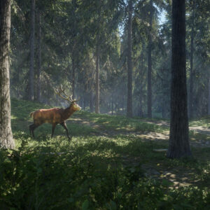 theHunter: Call of the Wild