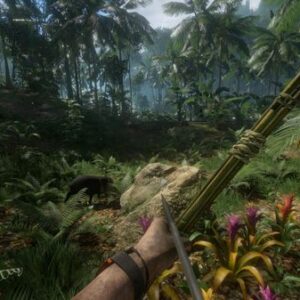 Green Hell (Combo 4 Acc)